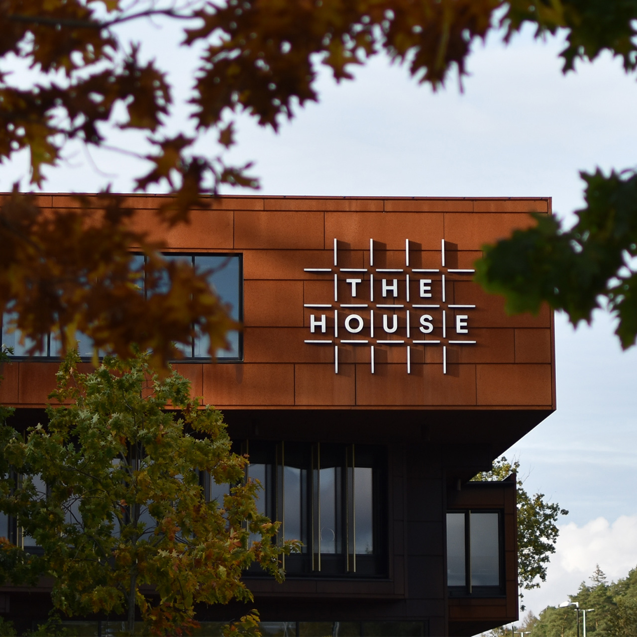 1280x1280_nextstep_nyahovas_2